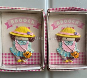 Cute boxed brooches 10