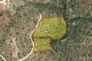 AGRICULTURAL LAND OF 27527 SQM IN DHOROS - 1