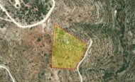 AGRICULTURAL LAND OF 27527 SQM IN DHOROS - 2