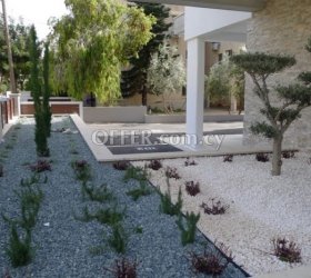 1 Bedroom Apartment in Dasoudi Area - 3