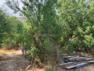 Land Parcel 440 sm in Lofou, Limassol - 5