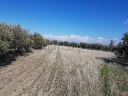 For Sale €49,000 Klirou Nicosia
