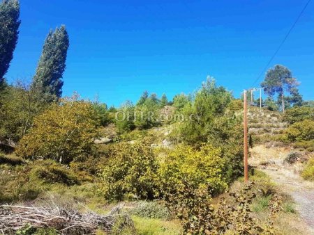 New For Sale €400,000 Land (Residential) Kakopetria Nicosia - 2