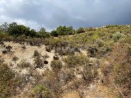 Land Parcel 5000 sm in Pera Pedi, Limassol - 5
