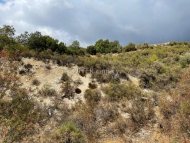 Land Parcel 5000 sm in Pera Pedi, Limassol - 4