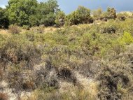 Land Parcel 5000 sm in Pera Pedi, Limassol - 3
