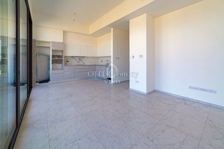 LUXURY TWO BEDROOM APARTMENT IN MESA GEITONIA