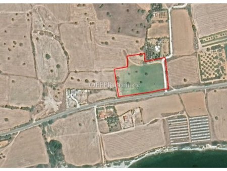 12320 sq.m field in Agios Theodoros available for sale