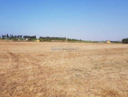 Field in Dromolaksia - 2