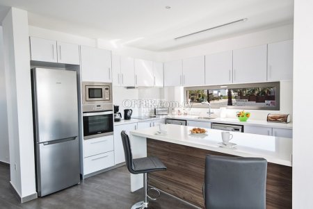 Contemporary 4 Bedroom Villa in Ayia Napa, Nissi Beach - 2