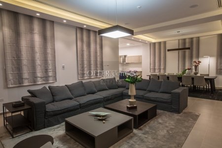 Spectacular 6 Bedroom Sea Front Villa in Ayia Napa - 4