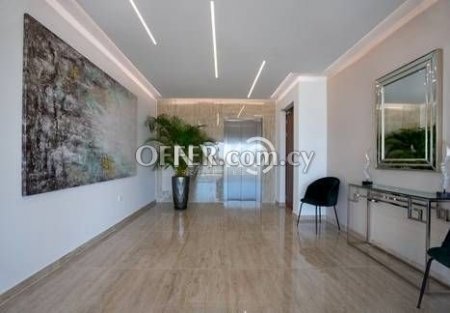 3 bedroom penthouse apartment furnished - 17