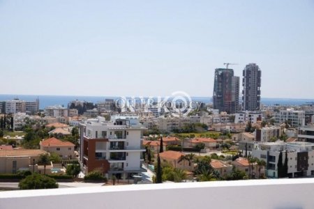 3 bedroom penthouse apartment furnished - 14