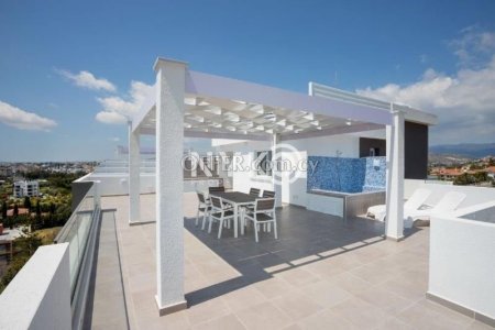 3 bedroom penthouse apartment furnished - 13