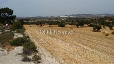 New For Sale €535,000 Land Agios Theodoros Larnaca - Main Photo
