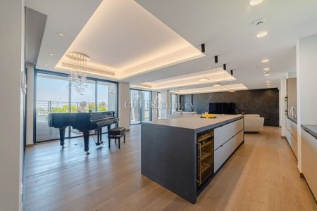 LUXURIOUS FOUR BEDROOM APARTMENT IN PYRGOS TOURIST AREA - 4