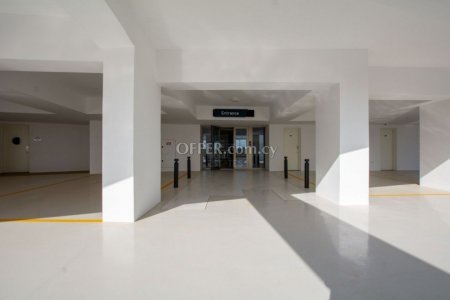Exquisite Brand New Beach Front Apartment in Ayia Napa - 4