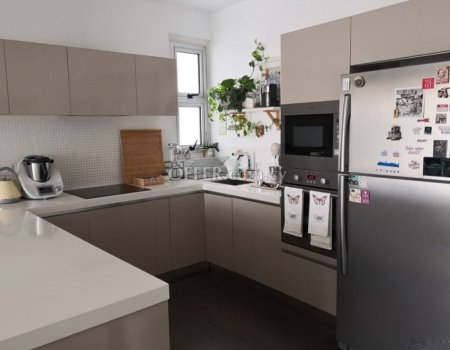 For Sale, Luxury and Contemporary Two-Bedroom Penthouse in Geri - 3