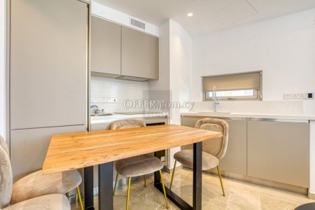Exquisite Brand New Beach Front Apartment in Ayia Napa - 14