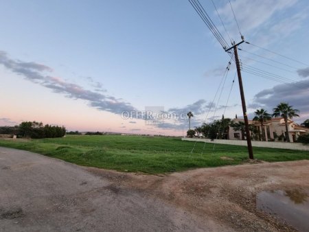 Agricultural Field, Paralimni, Famagusta