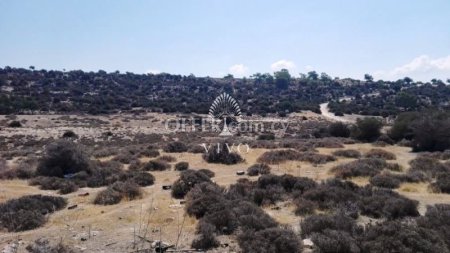 INDUSTRIAL AND PROTECTED  LAND OF 11207 m2 FOR SALE IN YPSONAS
