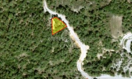 BUILDING PLOTS FOR SALE IN THE FOREST - AMIANTOS
