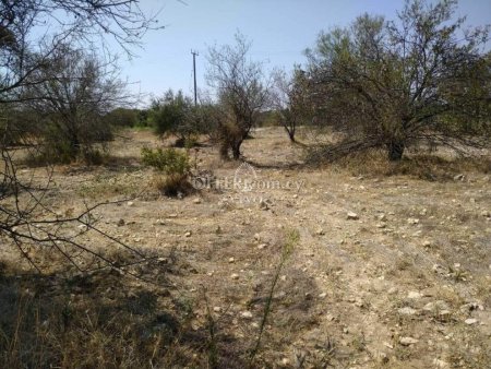RESIDENTIAL LAND OF 1655 M2 IN APESIA - 1