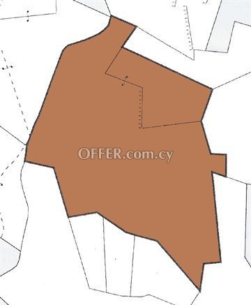 Piece Of Land Of 11706 Sq.M.  In Fikardou, Nicosia - 1