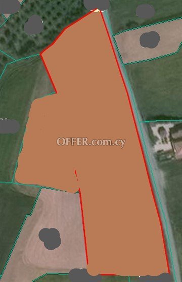 Agricultural Piece Of Land Of 10155 Sq.M.  In Geri
