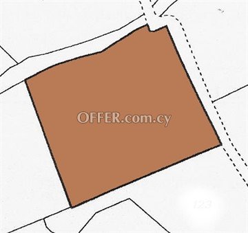 Large Agricultural Piece Of Land Of 4348 Sq.M.  In Pera Oreinis