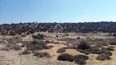 INDUSTRIAL AND PROTECTED  LAND OF 11207 m2 FOR SALE IN YPSONAS - 2