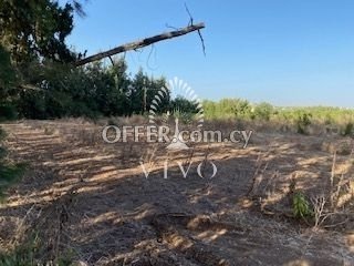 RESIDENTIAL LAND OF 25419 SQM WEST OF LIMASSOL NEAR CASINO. - 6