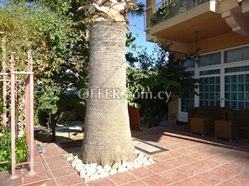 Detached 4 Bedroom House Plus Office  Is Located In Archangelos Area,  - 7