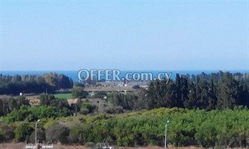4 Bedroom Villa With Swimming Pool Near The Beach In Paphos - 4
