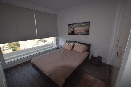 Luxury  Two Bedroom Flat In Mackenzie - 6