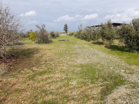 For Sale €100,000 Psimolofou Nicosia