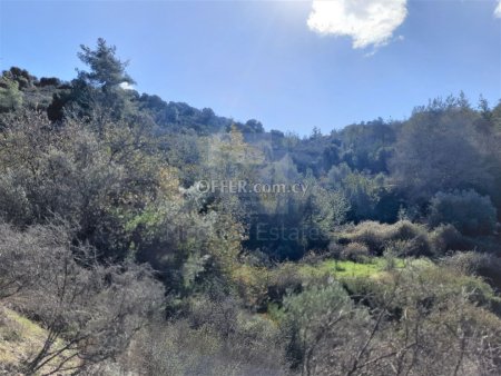 Parcel of land 3011 sq.m. in Louvaras with mountain views - 1