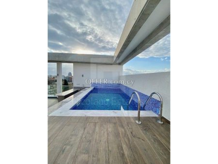 Brand new two bedroom penthouse with private roof garden and swimming pool in Potamos Germasogias - 1