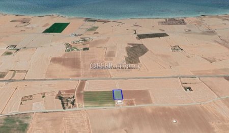 Field in Softades area in Larnaca