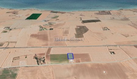 Field in Softades area in Larnaca - 1