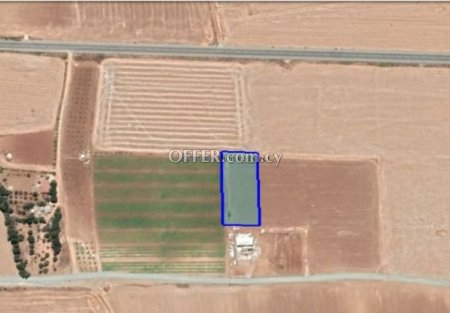 Field in Softades area in Larnaca - 2