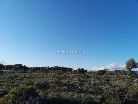 Land Parcel 7693 sm in Pissouri, Limassol - 1