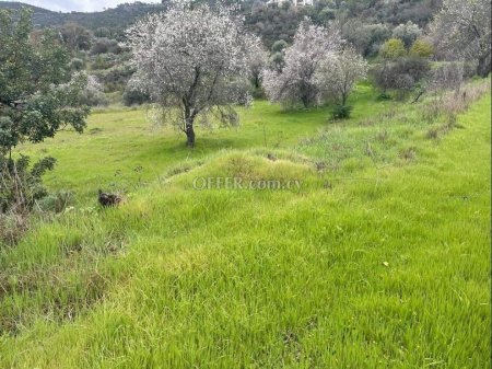 Land Parcel 18000 sm in Prastio (Kellaki), Limassol - 1