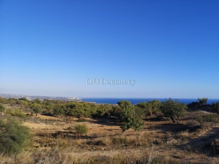 Land Parcel 55854 sm in Pissouri, Limassol - 4