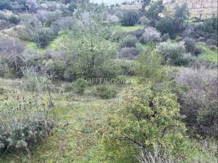 Land Parcel 18000 sm in Prastio (Kellaki), Limassol - 4