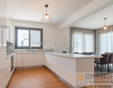 4 Bedroom Penthouse in Polemidia - 3