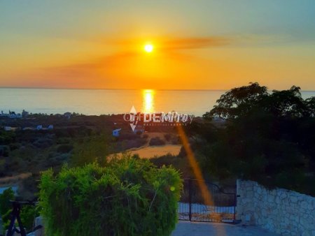 Villa For Sale in Pomos, Paphos - DP2231 - 11