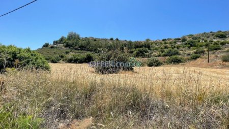 9,663m2 Residential Land For Sale Kalavasos - 4