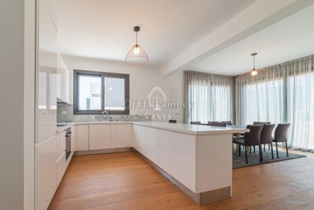 MODERN THREE BEDROOM APARTMENT IN PANO POLEMIDIA - 5