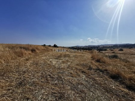 Field in Aradippou - 1